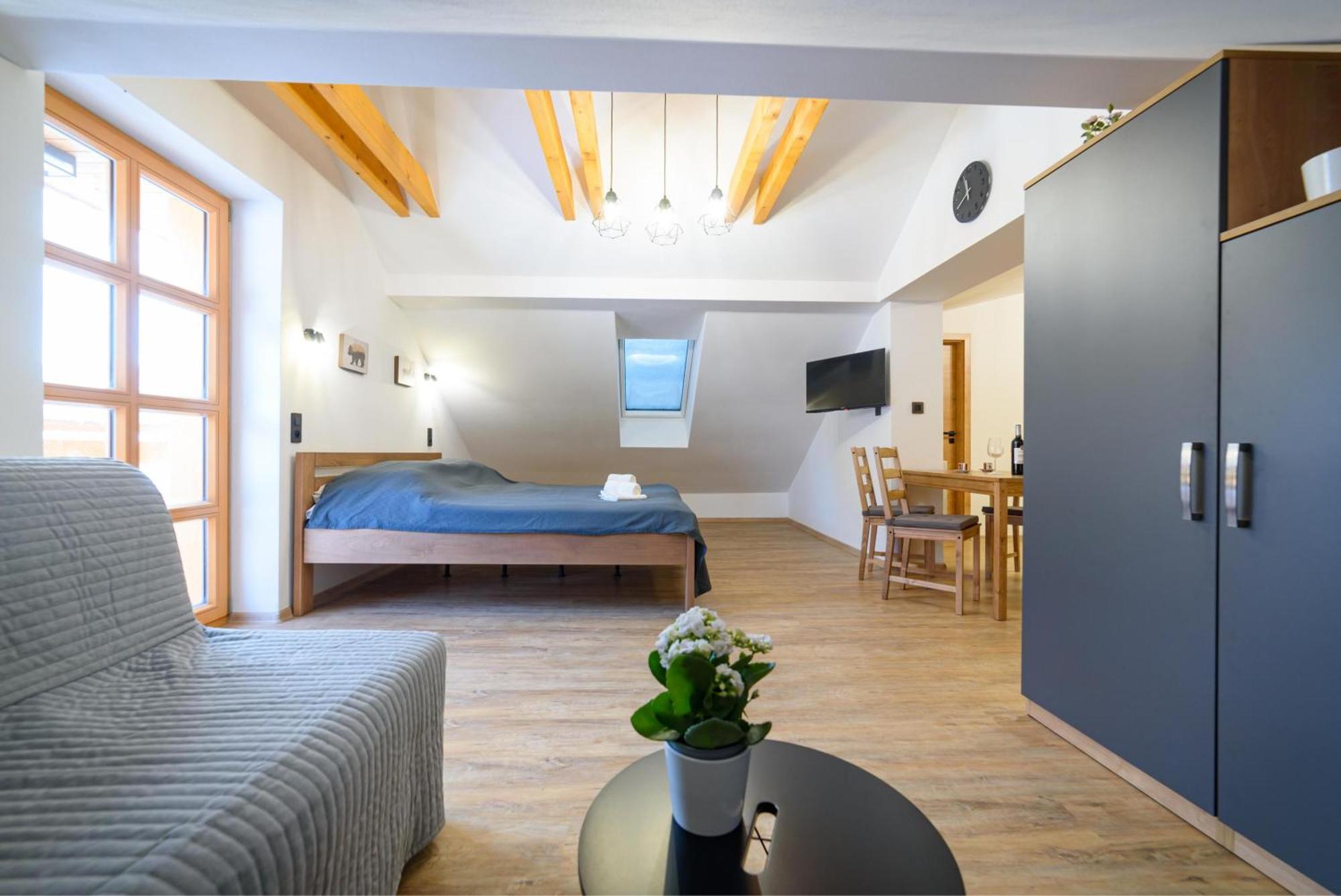 Apartman Na Hurce Horní Planá 外观 照片